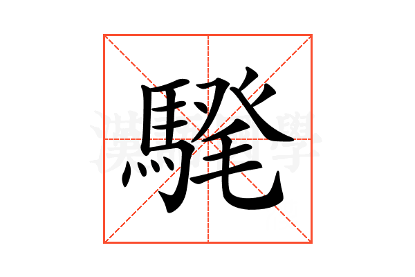 𩤗