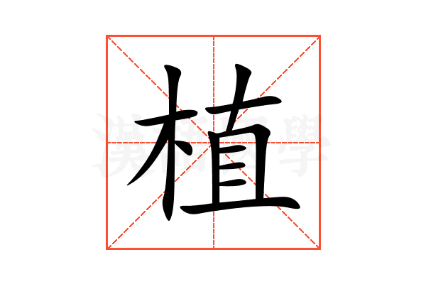 植