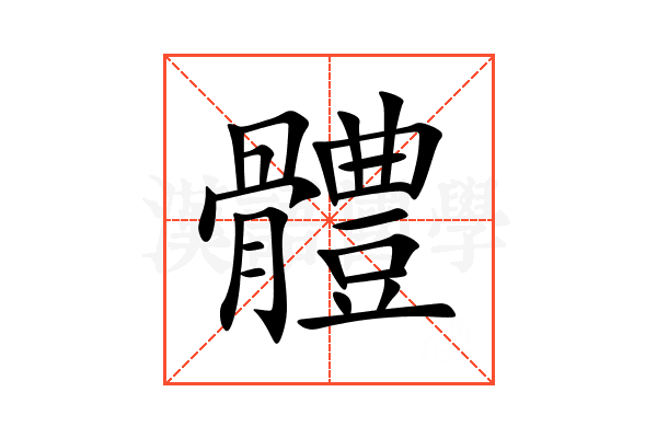 體