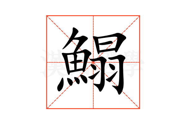 鰨