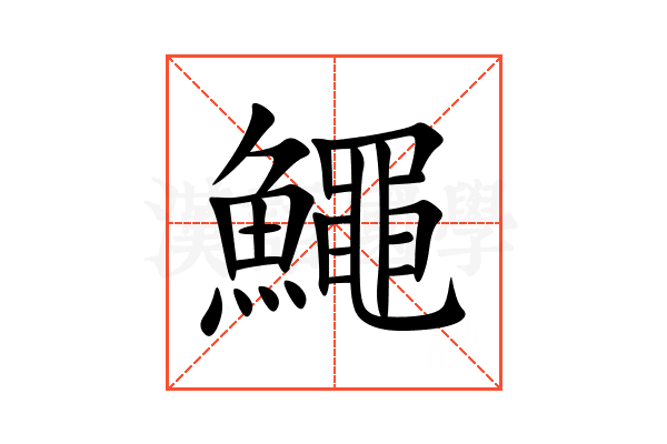 鱦