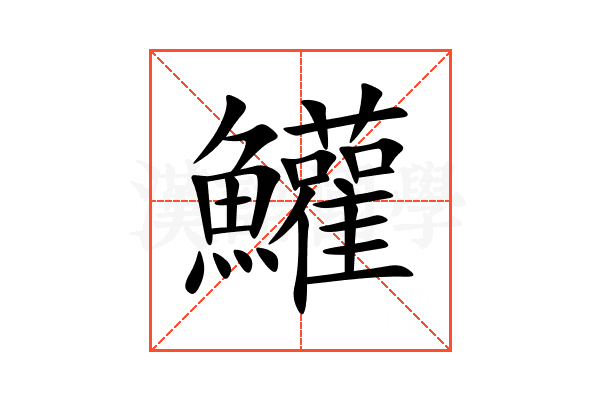 鱹