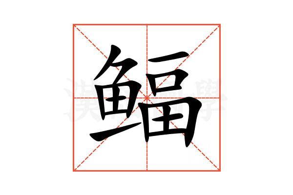 鲾