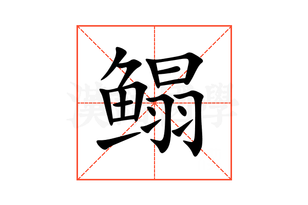 鳎