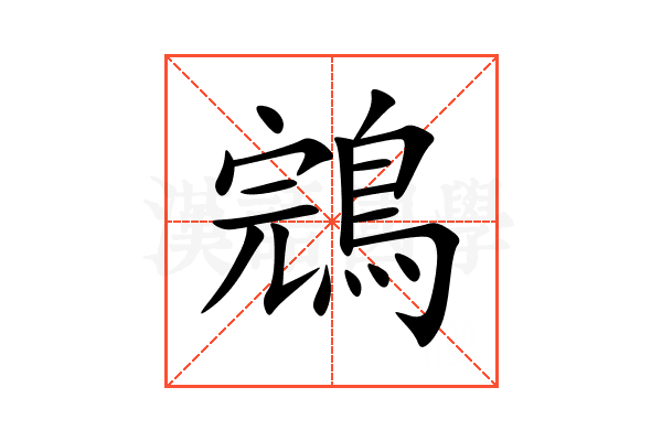 鵍