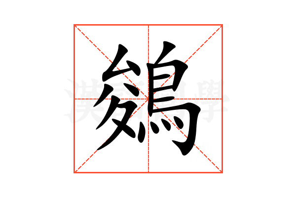 鵕