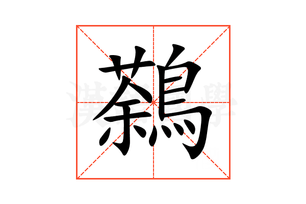 鷋