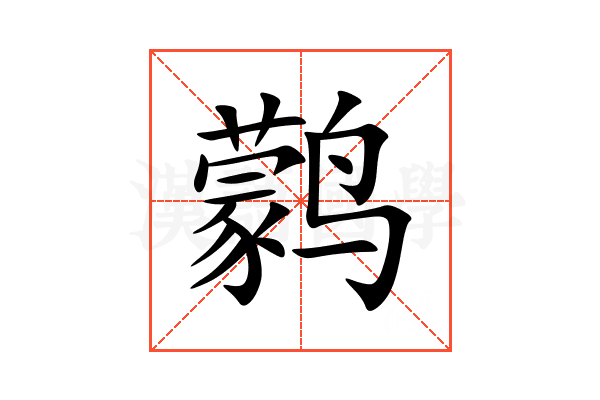 鹲