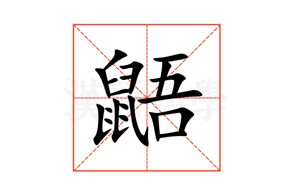 鼯